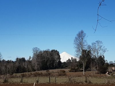 Parcelas en la zona de villarrica