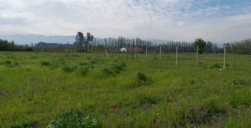 Parcelación San Cristobal de Colbún, ubicadas en sector residencial.