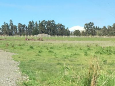 Vendo sitios declarados urbanos en Oro Verde, Chillan