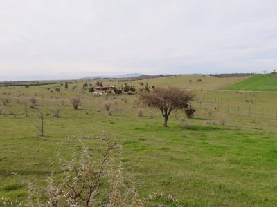 Parcelas a 1 km de Embalse Mallermo y 30 min de Pichilemu.