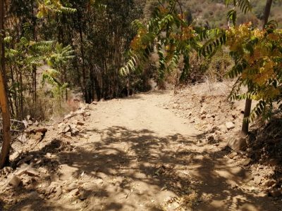 Alto los cóndores, Olmue, Quebrada de alvarado