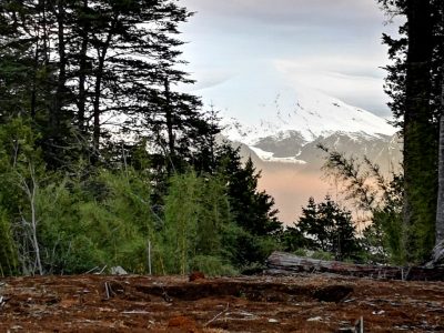 Se vende parcela en Pucon. Se vende parcela de 10.500 mts2,  ubicada a 20 kmsd e la ciudad de Pucón