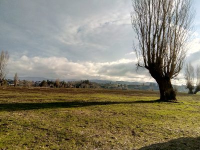 Nacimiento, Parcela 12 Ha _Rio Biobio_Vergara