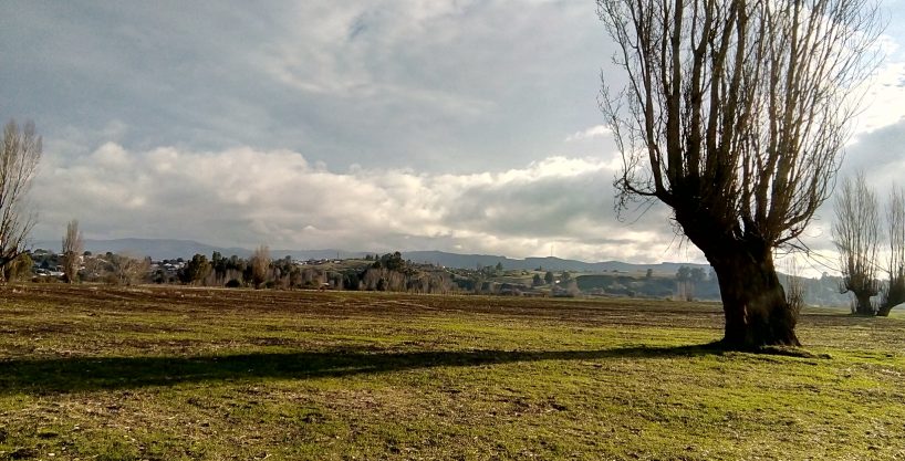 Nacimiento, Parcela 12 Ha _Rio Biobio_Vergara