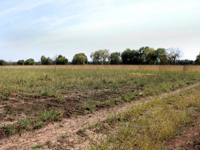 Importante parcela con condiciones inmejorables para el agro negocio