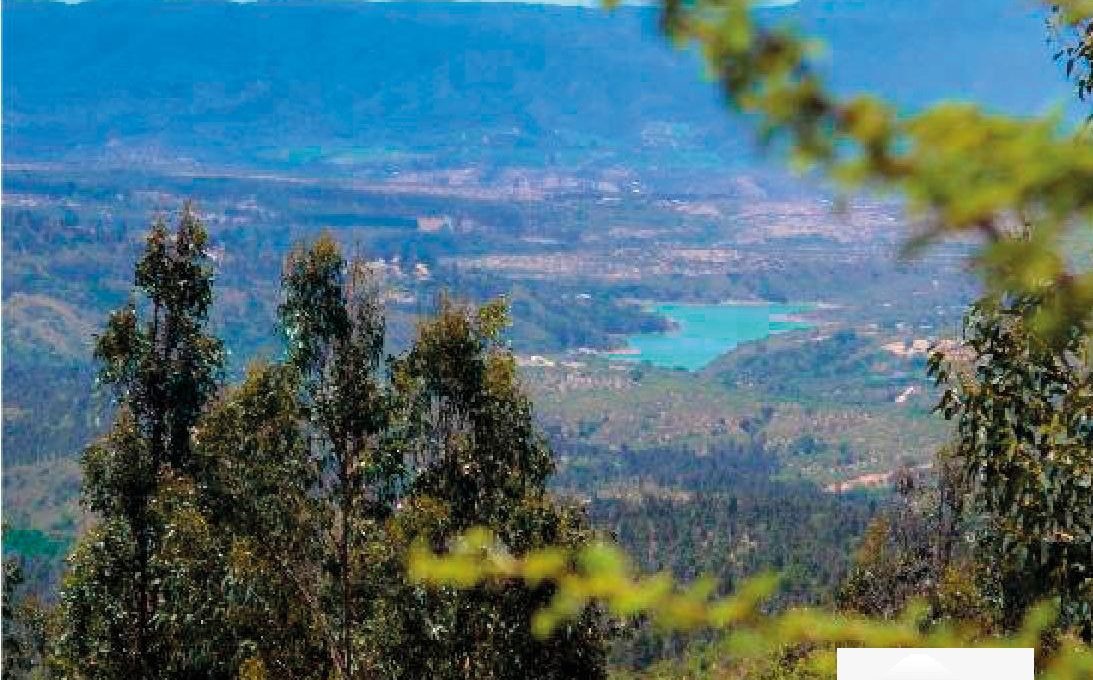 Propiedades Araucaria Viña 6